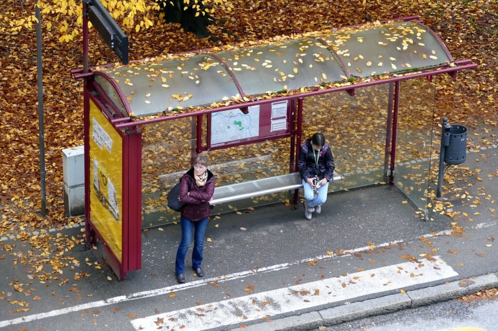 foliage, autumn, bus stop-4514886.jpg